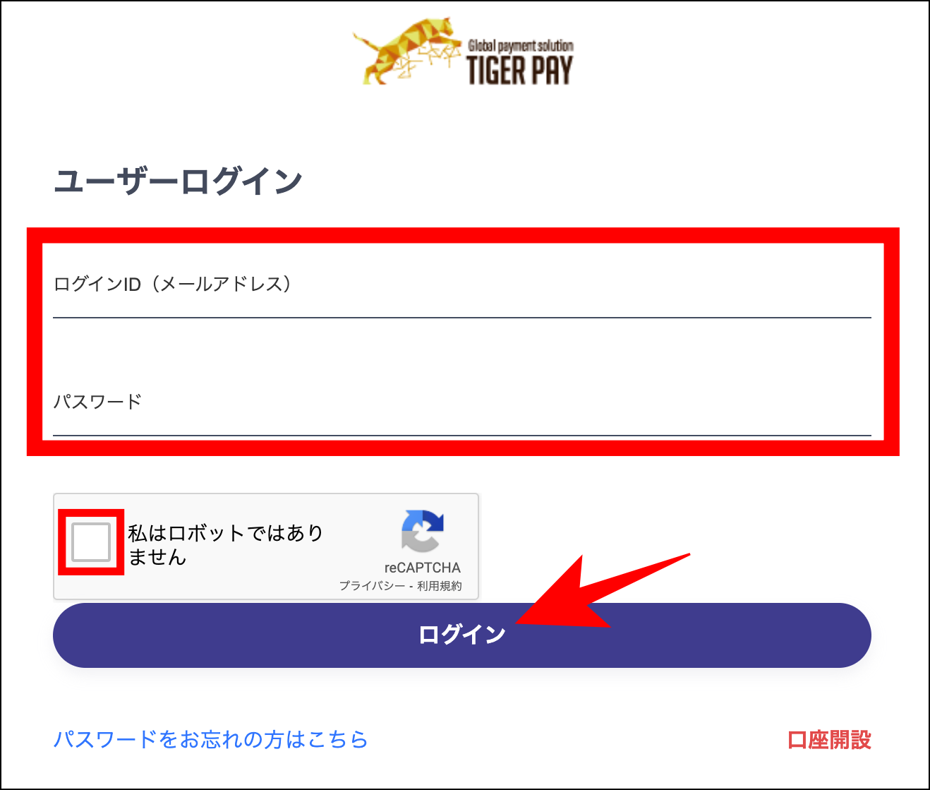 ExnessのTigerpay入金の概要と手順